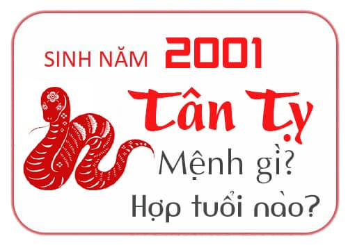 3. Nam 2001 hợp với tuổi nào?