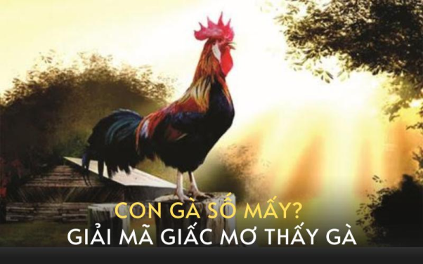 3. Con gà số mấy? Nằm mơ thấy gà thì nên đánh số nào?